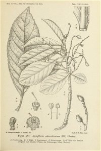 n402_w1150