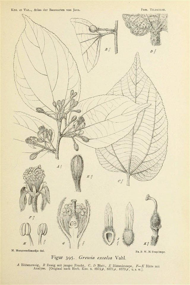n428_w1150