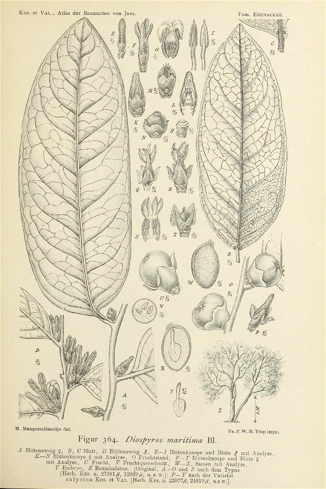 n366_w1150