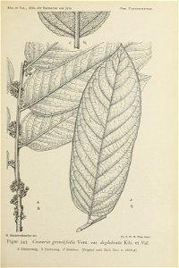 n316_w1150