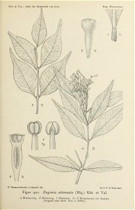n204_w1150