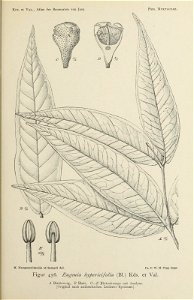n136_w1150