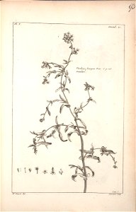 n294_w1150