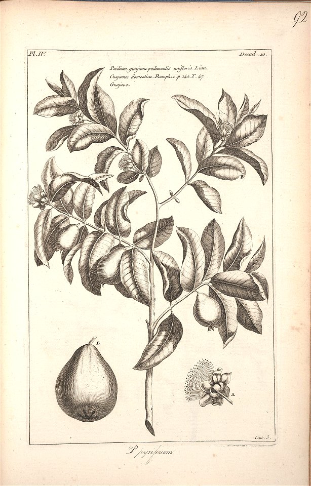 n293_w1150