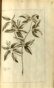n99_w1150