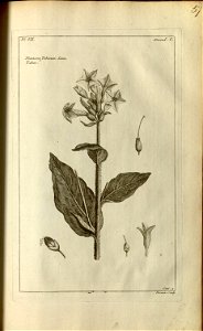 n159_w1150