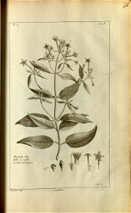 n173_w1150