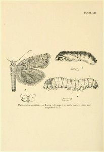 n639_w1150