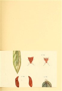 n502_w1150