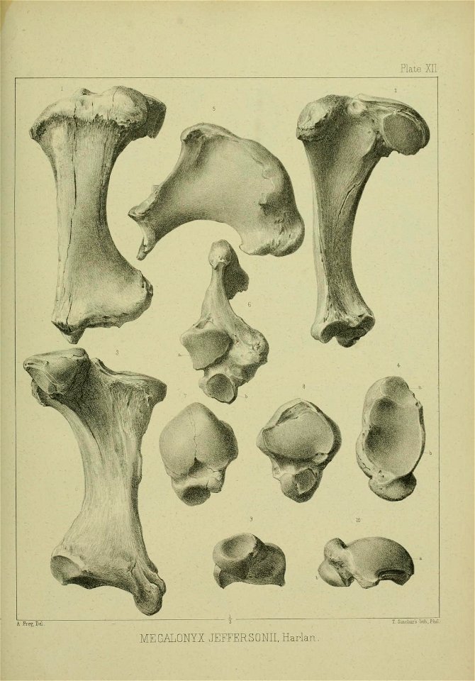 n376_w1150