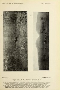 n154_w1150