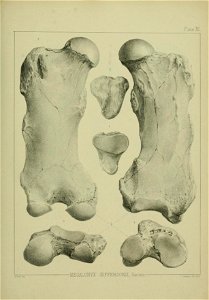 n374_w1150