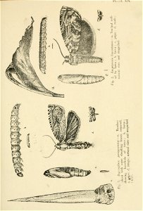 n192_w1150