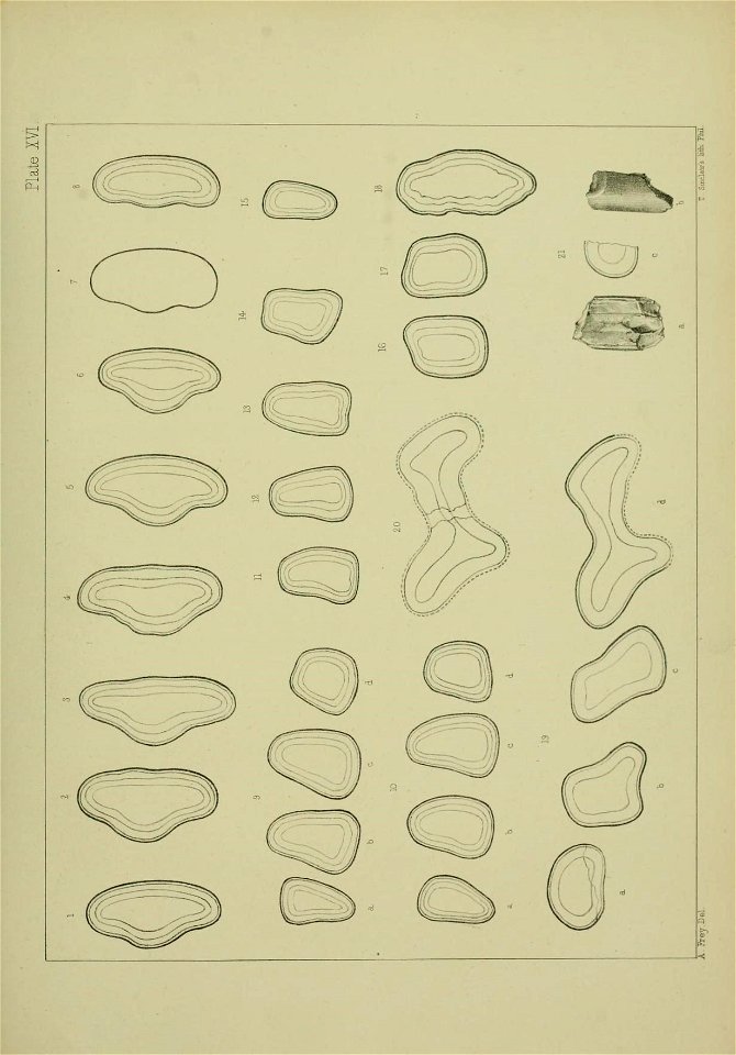 n384_w1150
