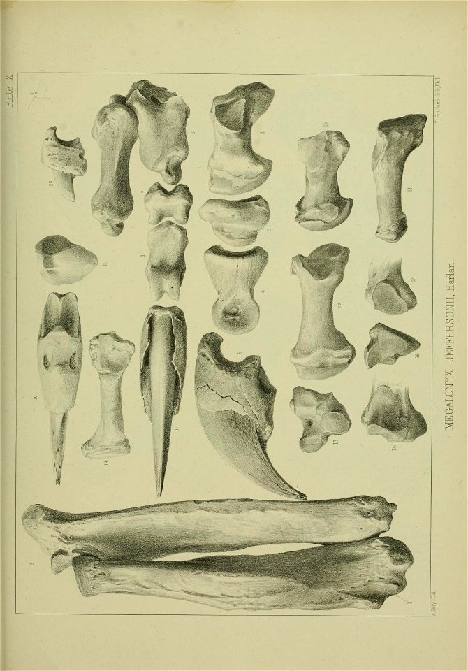 n372_w1150