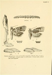 n136_w1150