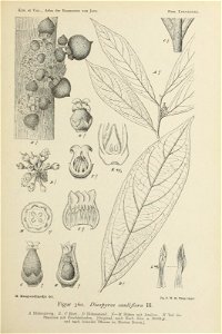 n358_w1150
