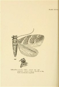 n459_w1150
