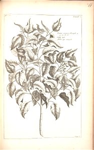 n219_w1150