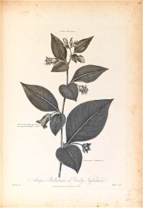 n393_w1150
