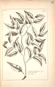 n66_w1150
