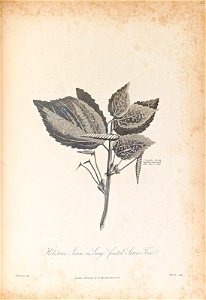 n362_w1150