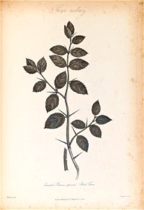 n389_w1150