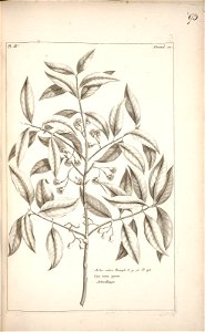 n94_w1150