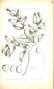 n169_w1150