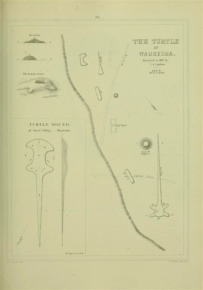 n206_w1150
