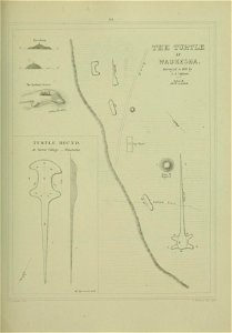 n206_w1150