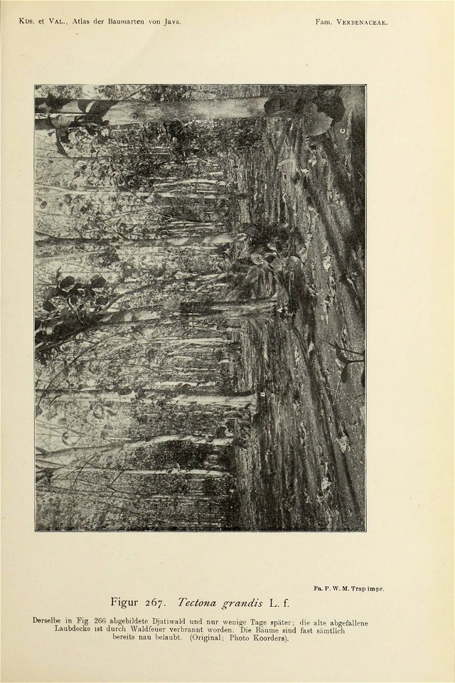 n158_w1150