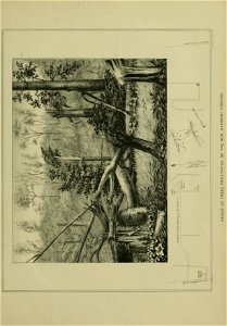 n38_w1150