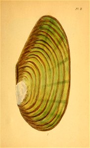n110_w1150
