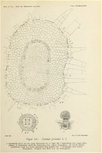 n146_w1150