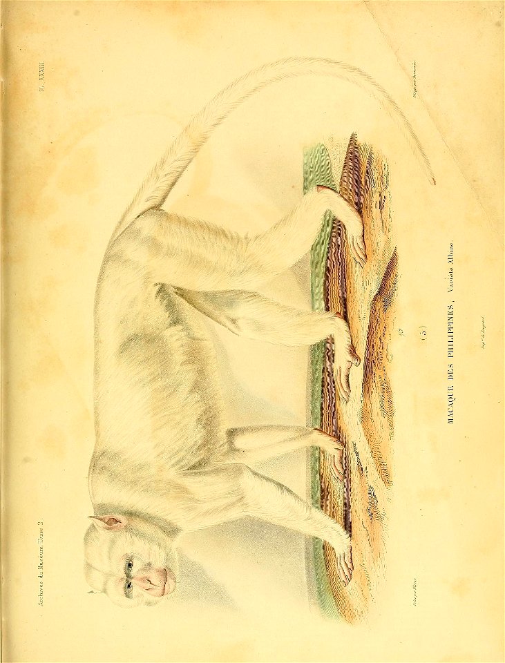 n122_w1150