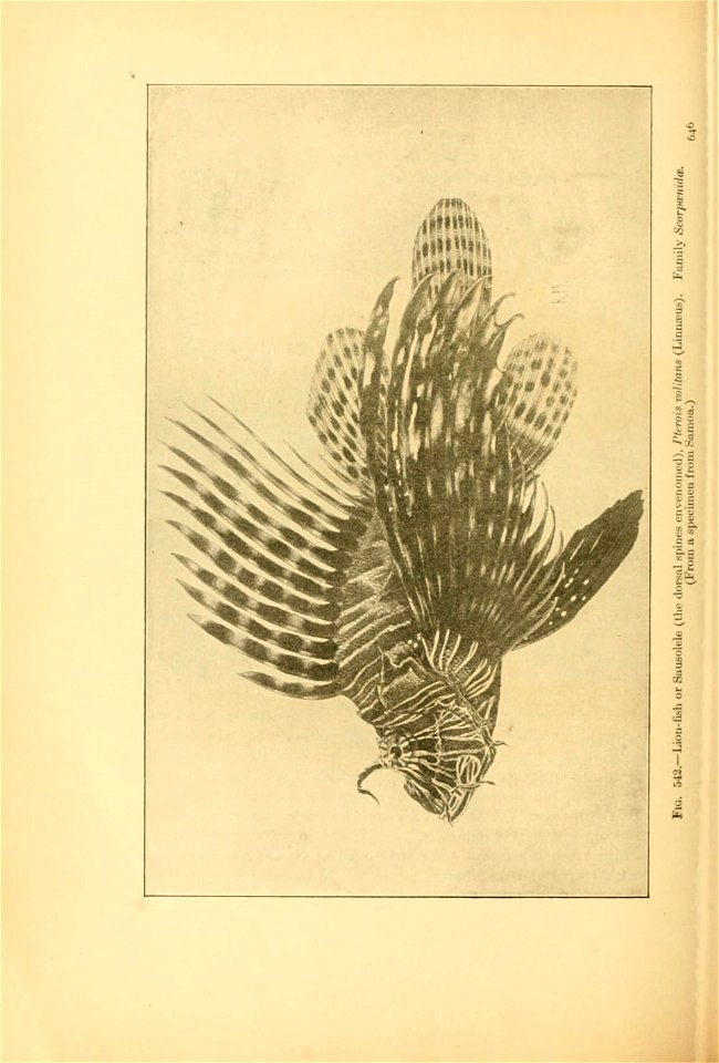 n699_w1150