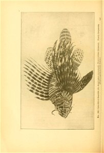 n699_w1150