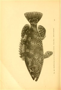n577_w1150
