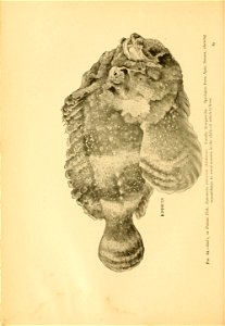 n109_w1150