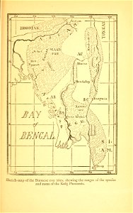 n334_w1150