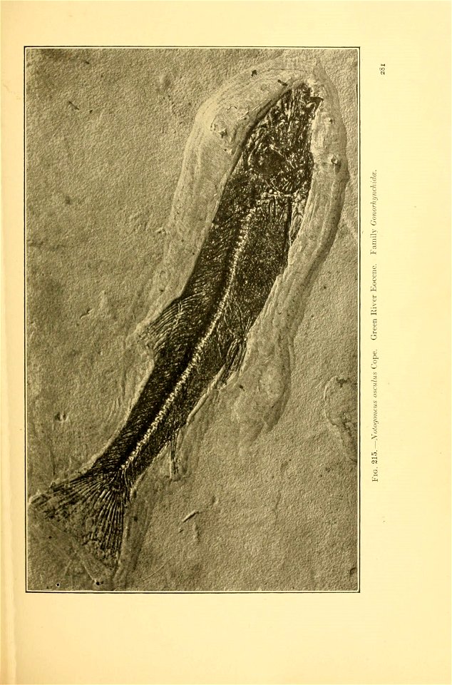 n312_w1150