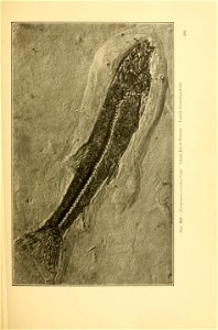 n312_w1150