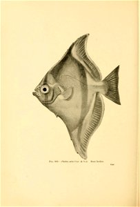n659_w1150