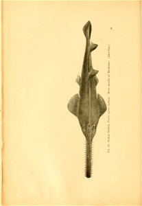 n97_w1150