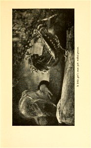 n314_w1150