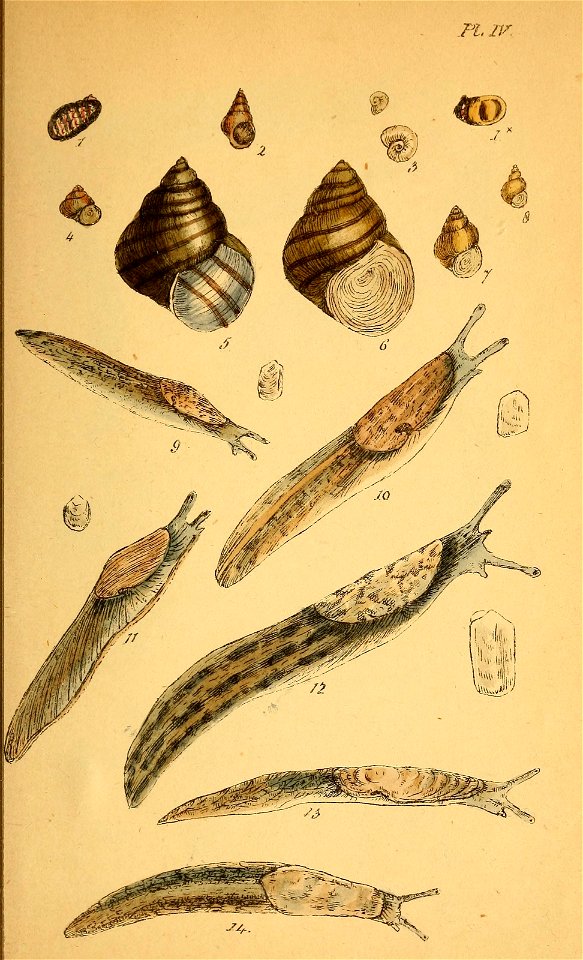 n114_w1150