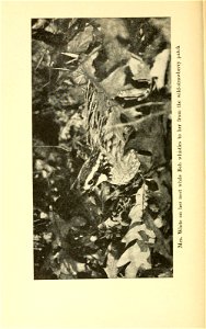 n307_w1150