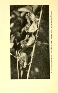 n157_w1150