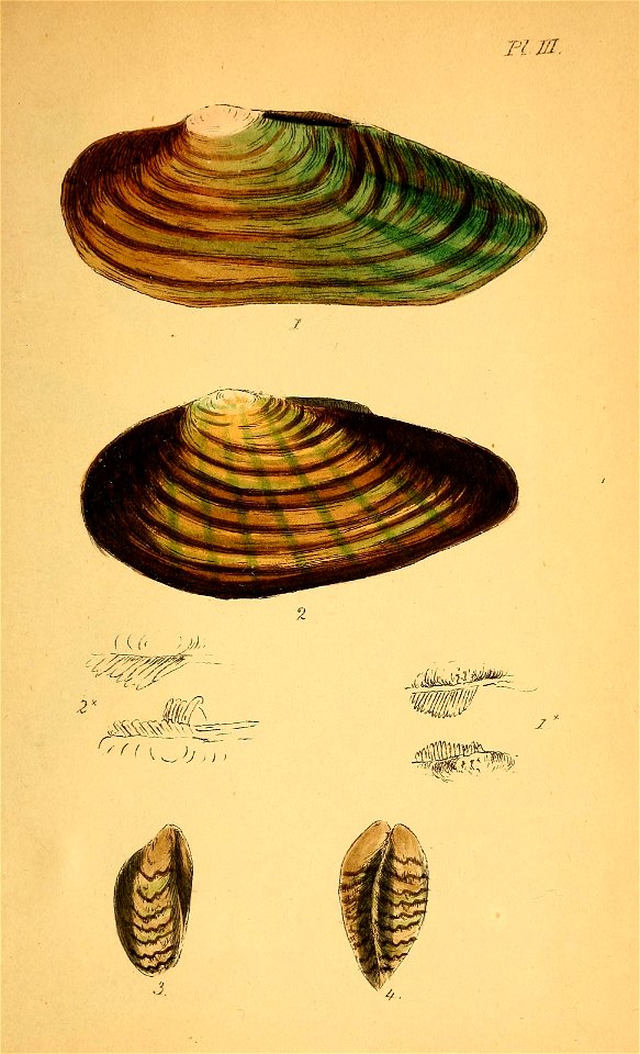 n112_w1150